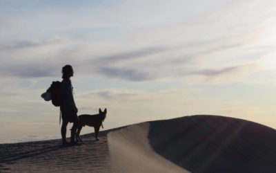 Viajar en camper con perro